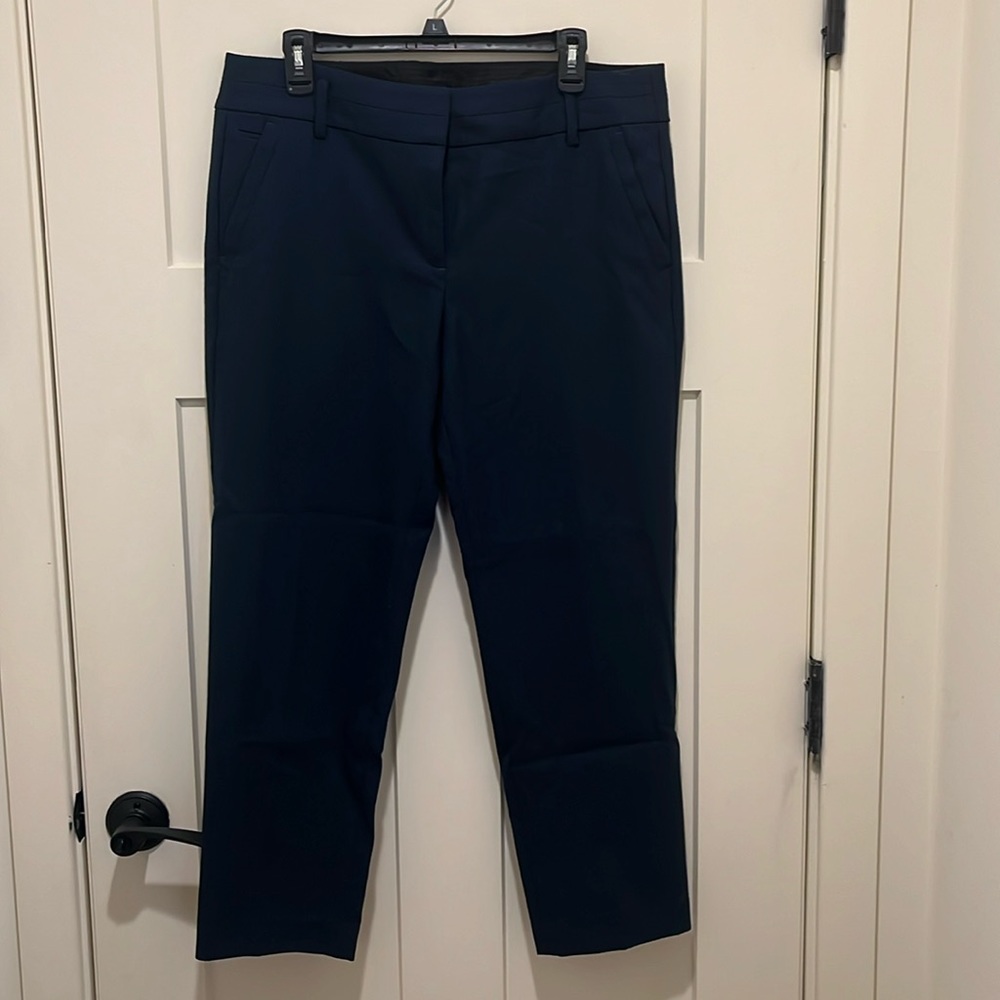 Loft Marisa Blue Pants